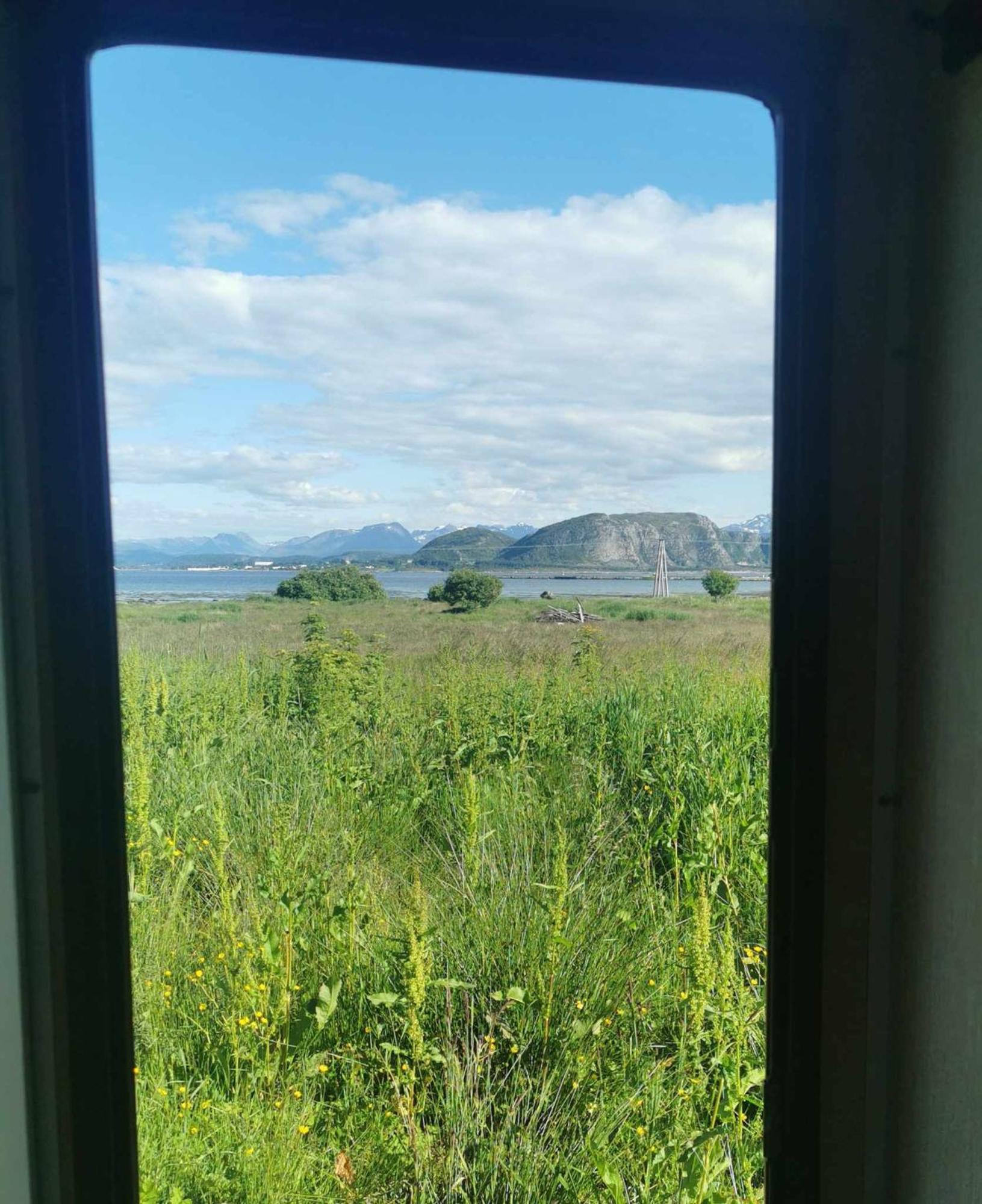 Vintage Caravan Synes エクステリア 写真